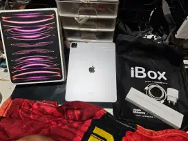 iPad Pro M2 Gen 6 128Gb iBox Mulus Normal Bisa TT Pastinya