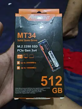 SSD Moment 512gb NVME PCIE Gen.3 like new