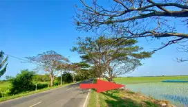 Dijual Tanah Sawah Luas 16,000m2 ( Depan pantai Tirtamaya )