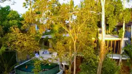Incredible Three Captivating Leasehold Properties in A Spectacular Jun