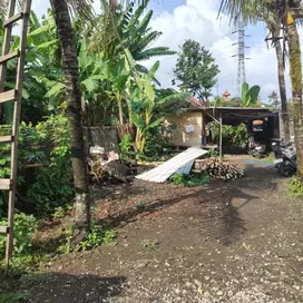 Land for Sale  Leasehold - Strategic 2 Are Land for Lease in Nyanyi, T