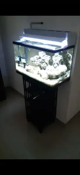 Aquarium bending nisso full set