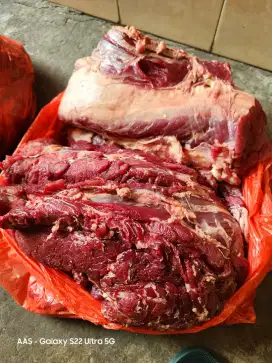 Daging Sapi (asli lokal sby)