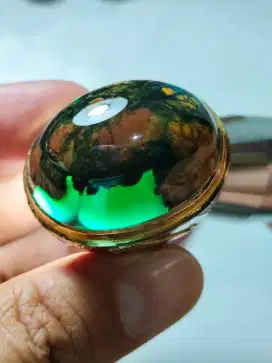 Bacan Doko Kembang Jumbo HQ