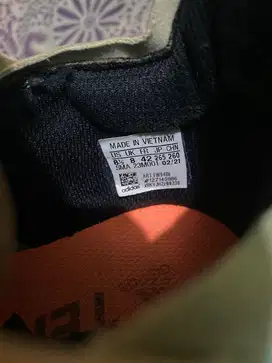 Sepatu Adidas Terrex Running