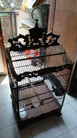 Kandang burung no 1