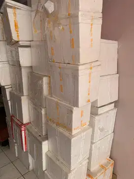 Jual styrofoam bekas sekali pakai