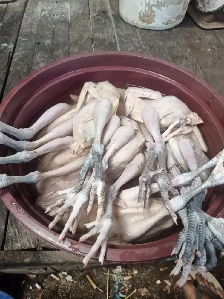 Ayam kampung potong (utuh 1ekor)