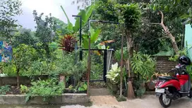 Dijual/disewakan Tanah