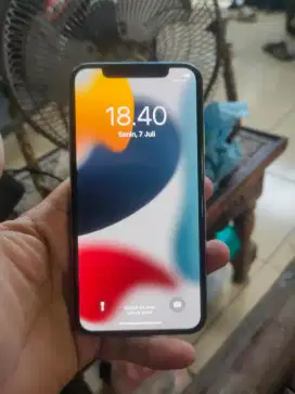 Iphone x 256 gb ( inter)