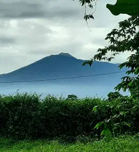 Tanah Di Cigombong Saung dan Kolam Ikan