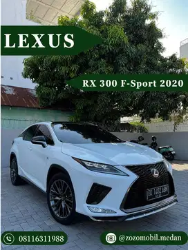Lexus RX300 Fsport 2020 (Berplastik)‼️
