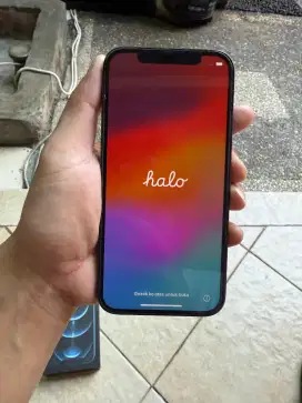 Wts iphone 12 pro 128 Gb mulus 100%