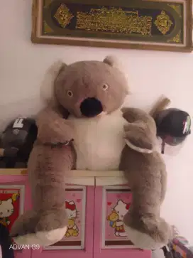 Di jual boneka KOALA super jumbo gress