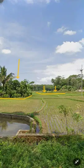 DIJUAL CEPAT TANAH SAWAH DI TASIKMALAYA