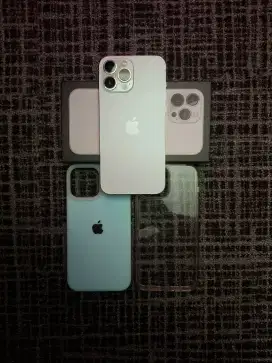 iPhone 13 Pro Max Beacukai 1TB