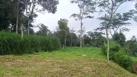 Dijual Tanah 800m2