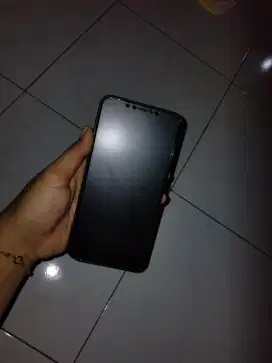 ip 11 promax 256