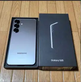 Samsung Galaxy S25