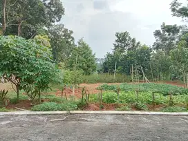 Tanah Datar View Sawah 1000m Desa Wisata Mojogedang, Karanganyar