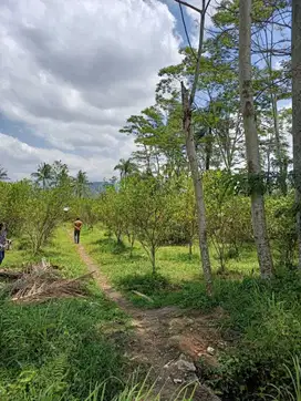 Dijual Tanah Super Murah Di Jatisari Kebon Agung