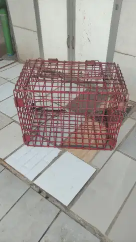 KANDANG KUCING ULAR BIAWAK
