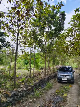 Dijual Cepat Tanah 1699m² Murah