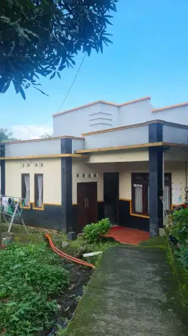 DI JUAL RUMAH SHM Nego Tipis