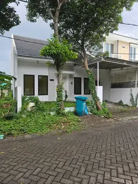 Lelang Bukit Palma Citraland Hanya 800jt
