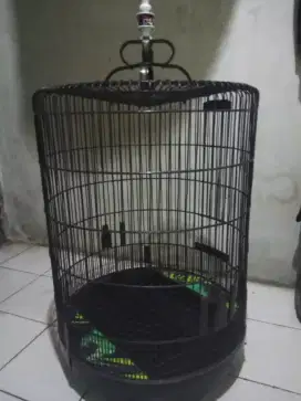 Kandang burung murai nomor 1 mulus