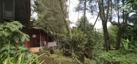 Rumah Joglo Antik Dago Bandung Cocok Untuk Cafe kosan, Rumah tinggal