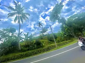 Dijual Tanah Pemandangan Ke Gunung Pinggir Jalan Raya SHM Udara Sejuk