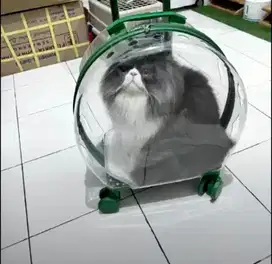 Tas Transparan Kucing Anjing Trolley Troli Bening PetCargo Travel Bag