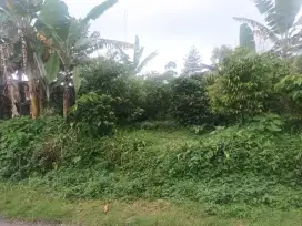 Dijual Tanah Karangsari Pemalang