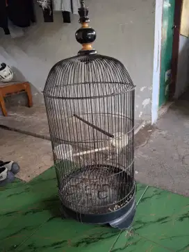 Kandang love bird