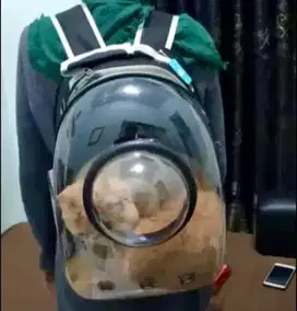Pet Cargo Tas Astronaut Pet Bag Travel Cat Dog