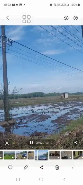 Tanah sawah luas 5 HA lebih sangat produktif