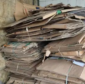 Kardus bekas sekali pakai ukuran jumbo