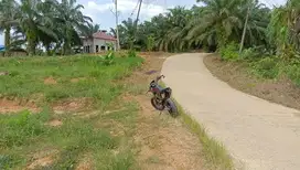 Bismillah dijual tanah murah dekat IKN pinggir jalan besar