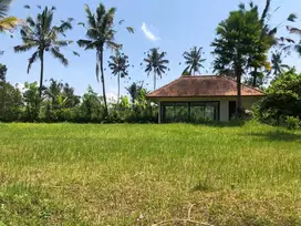 Land in Payangan Ubud for sale