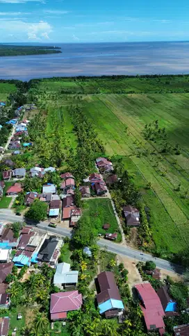Tanah Luas Jungkat - Mempawah Tepi Jalan Raya Sampai Laut