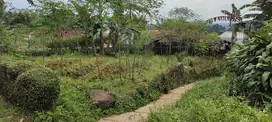 Dijual cepat tanah cisarua puncak (tanpa perantara)