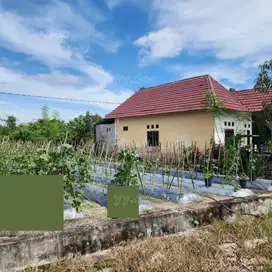 Dijual Tanah Luas Harga Terjangkau Kawasan Berkembang Penajam