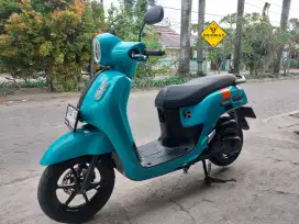 (DP 300)‼️ Fazzio Neo Mulus 2022 Cash / Kredit