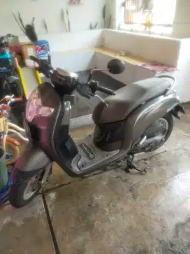 Honda Scoopy 2019