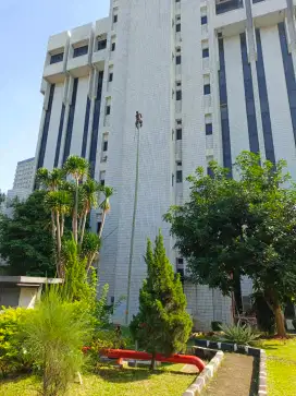 Jasa tebang dan babat lahan kosong