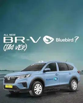 Lowongan Driver/Supir/Sopir Bluebird Group Condet