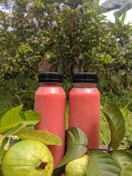 jus buah jambu biji