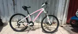 MTB Polygon Cleo