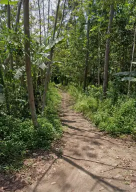 Dijual Tanah Pekarangan dekat Bandara NYIA